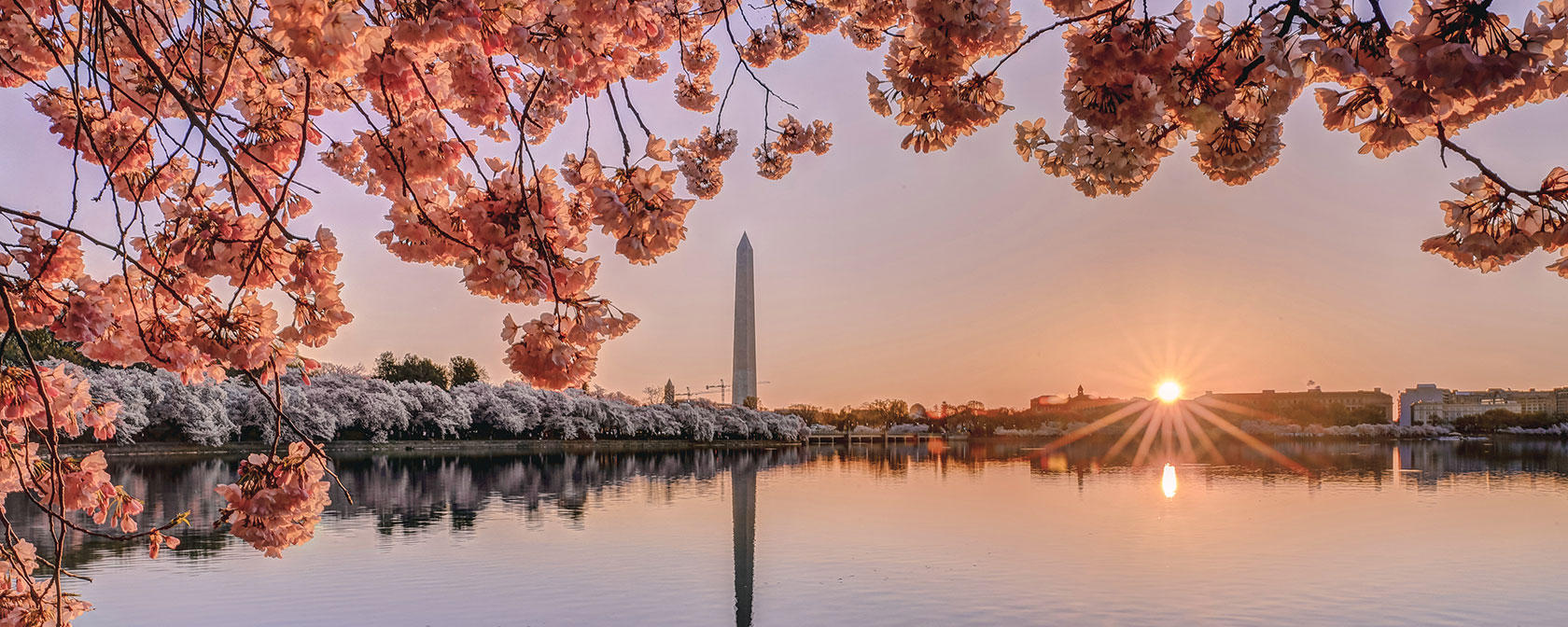 Amazon.co.jp: Washington D.C. from the Air 空から見た